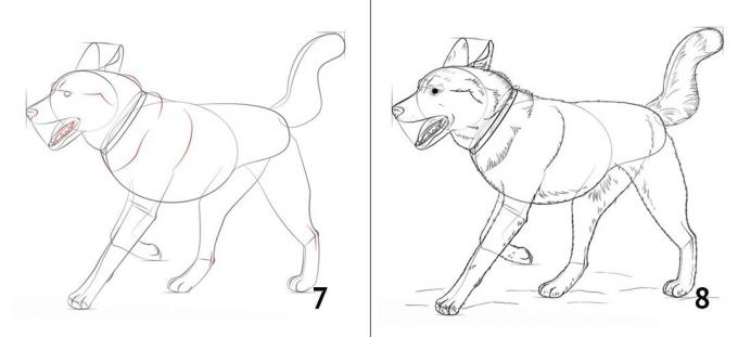 Πώς να σχεδιάσετε ένα σκύλο
