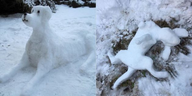 σκυλί χιόνι