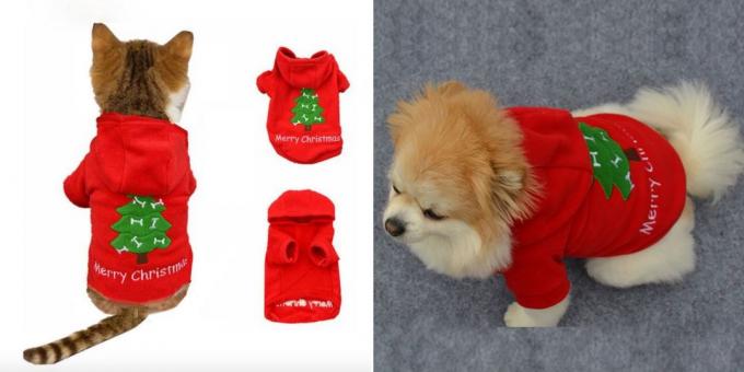 Χριστούγεννα κοστούμια για τους σκύλους και τις γάτες: το κόκκινο σακάκι 