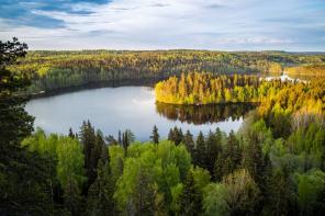 7 ενδιαφέροντα στοιχεία για τη Φινλανδία