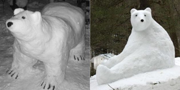 Αρκούδα στο χιόνι