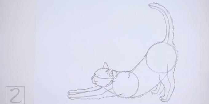 Σχεδιάστε shorstku κατά μήκος της πλάτης και της κοιλιάς μιας γάτας. ζωγραφίσει στην ουρά