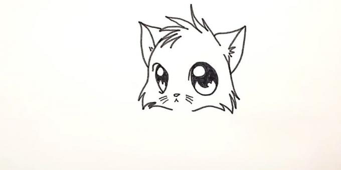 Πώς να επιστήσω Anime γάτα: Ισοπαλία shorstku στο κάτω μέρος του κεφαλιού