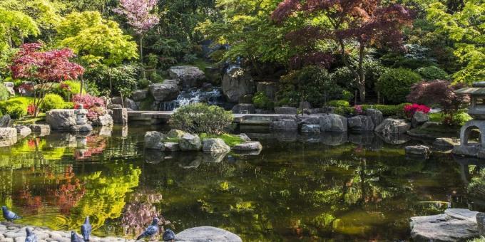 Τι να δείτε στο Λονδίνο: Ιάπωνες Κήπος του Κιότο το Holland Park