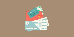 Χρηματοοικονομικών γνώσεων για τα ομοιώματα: Πώς να αποθηκεύσετε σε αεροπορικά εισιτήρια