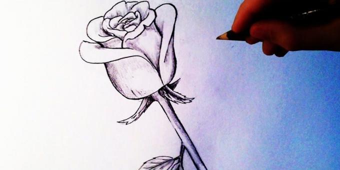 Πώς να σχεδιάσετε ένα μισάνοιχτο τριαντάφυλλο μολύβι