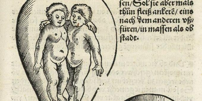Παιδιά του Μεσαίωνα: Δίδυμα στο Womb, Ευχάριος Ρόδιο