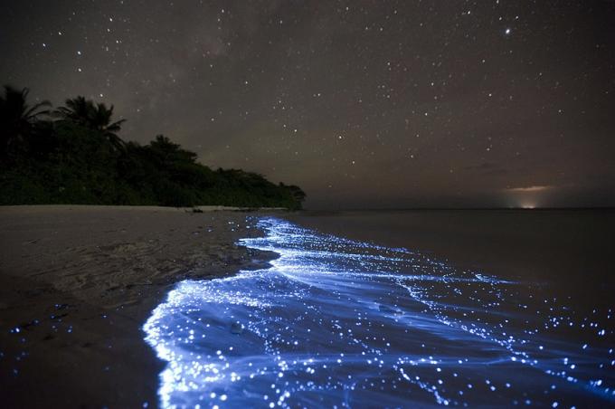 Παραλία bioluminescent - Vaadhoo, Μαλδίβες καλύτερες παραλίες