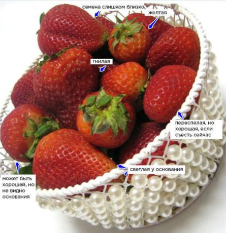 πώς να πάρει τις φράουλες