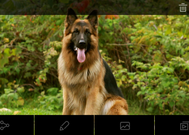 Screenshot Shepherd