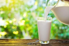 Πού γάλα: η αλήθεια και μύθοι για την παραγωγή του