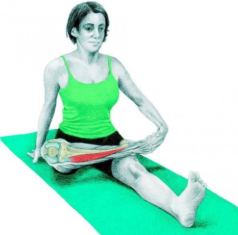 Ανατομία του stretching: περιστέρι καθιστή στάση