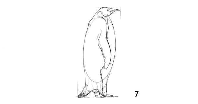 Πώς να σχεδιάσετε ένα πιγκουίνο