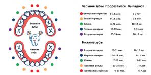 Πότε και με ποια σειρά τα δόντια γάλακτος πέφτουν