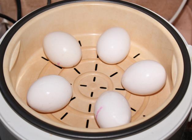 Πώς να μαγειρέψουν τα αυγά σε μπεν μαρί ή multivarka