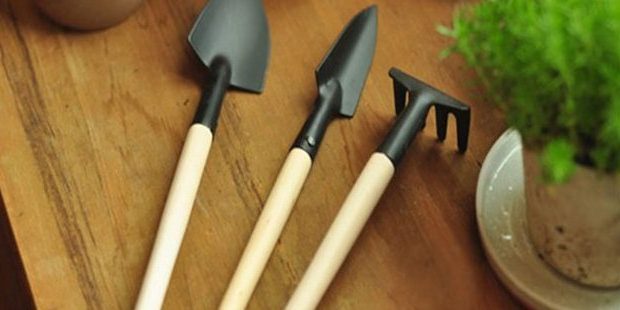 Εργαλεία για την κηπουρική με Aliexpress