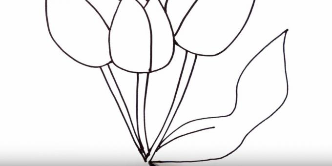 Πώς να σχεδιάσετε μια τουλίπα: απεικονίστε το σωστό φύλλο