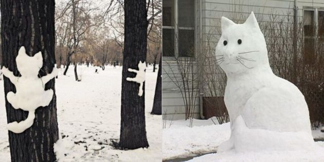 σχήμα χιονιού: Γάτα