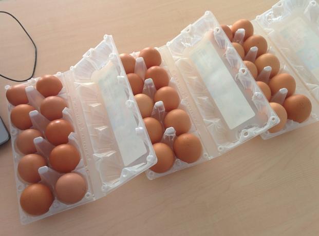 Τι πιο κερδοφόρα για να αγοράσει τα αυγά