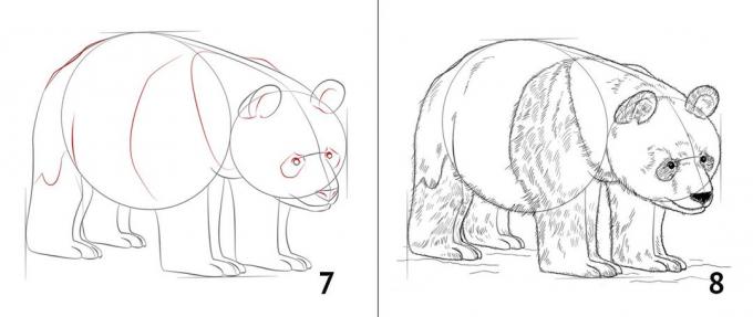 Πώς να σχεδιάσετε ένα panda