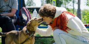 «Το να σπρώχνεις τη μύτη ενός κουταβιού στις λακκούβες του είναι η πιο επιβλαβής συμβουλή»: συνεντεύξεις με ειδικούς στη συμπεριφορά σκύλων