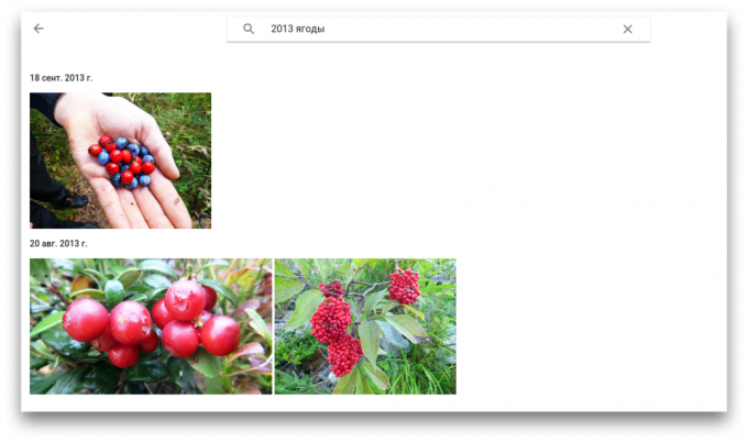 Google Photos αναζήτηση