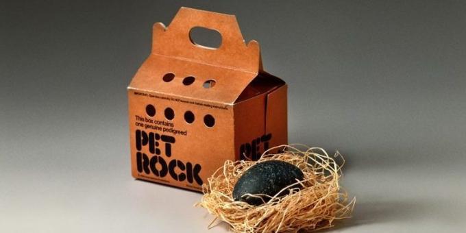 Επιχειρηματικές ιδέες: Pet Rocks