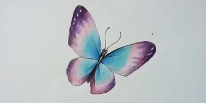 Προσθέστε περισσότερο κορεσμένο χρώμα μοβ φτερά πεταλούδας
