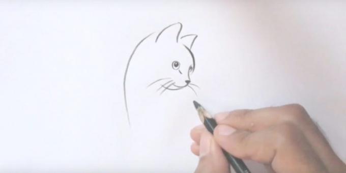 Ζωγραφική για τη γάτα μακρύ μουστάκι