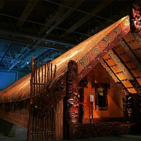 Μουσείο της Νέας Ζηλανδίας (Te Papa Tongarewa)
