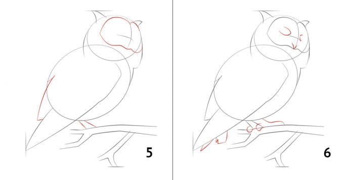 Πώς να σχεδιάσετε μια κουκουβάγια