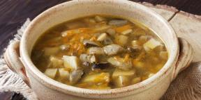 10 νόστιμα σούπες από φρέσκα και αποξηραμένα μανιτάρια πορτσίνι