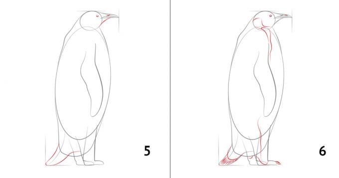 Πώς να σχεδιάσετε ένα πιγκουίνο