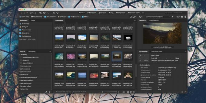 Πώς να οργανώσετε μια συλλογή φωτογραφιών: Adobe Bridge
