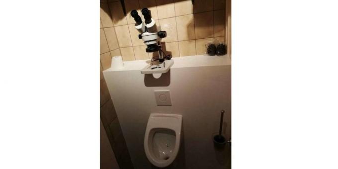 Μικροσκόπιο στην τουαλέτα