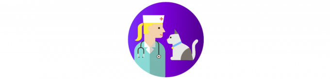 πώς να φροντίσει για μια γάτα: μια επίσκεψη στον κτηνίατρο