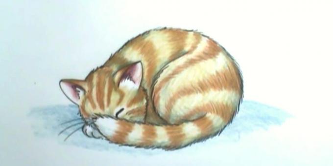 Πώς να σχεδιάσετε ένα ύπνο γάτα σε ένα ρεαλιστικό ύφος