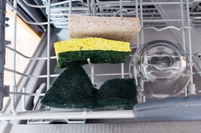 Πώς να χρησιμοποιήσετε ένα πλυντήριο πιάτων: σφουγγάρι πλύσης