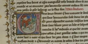 Αιμοληψία και αλμυρές κουκουβάγιες: Το Κέιμπριτζ εγκαινιάζει έργο για τη σκληρή μεσαιωνική ιατρική