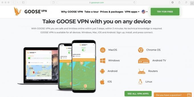 Πώς μπορώ να χρησιμοποιήσω Netflix στη Ρωσία: εφαρμογή Σετ Goose VPN από τη λήψη και ενεργοποιήστε την