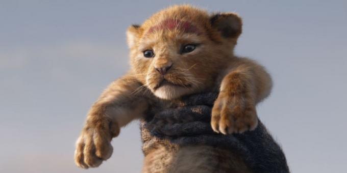 «Ο Βασιλιάς των Λιονταριών»: ένα μικρό Simba