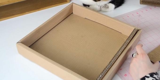DIY ξύσιμο γάτας: εισάγετε κολλημένες λωρίδες στο κουτί