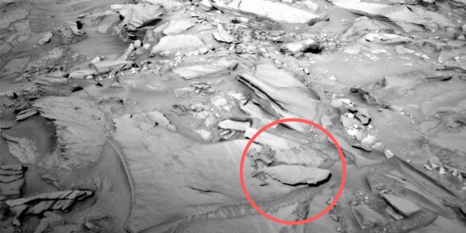 Φωτογραφίες από το διάστημα: ένα απολιθωμένο ψάρι στον Άρη
