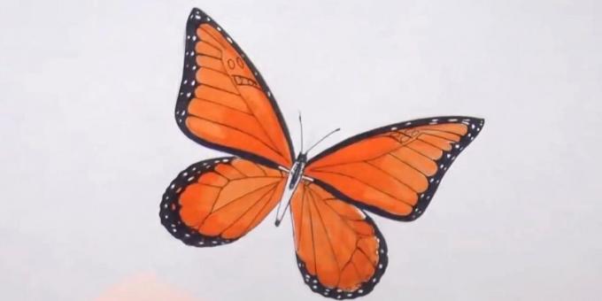 Κύκλο ο κορμός και να διαφοροποιήσουν σχέδιο πεταλούδα με τα φτερά