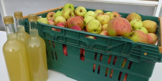 Πώς να μαγειρέψουν μηλόξυδο στο σπίτι: εύκολη συνταγή