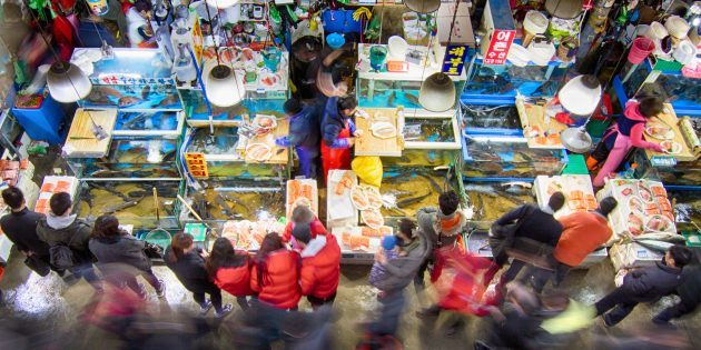 Δραστηριότητες σε Νότια Κορέα: είναι απαραίτητο να επισκεφθείτε την ψαραγορά