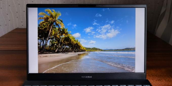 Οθόνη ASUS ZenBook 13 UX325