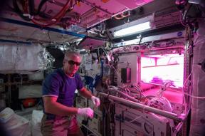Σαλάτα στο διάστημα. Οι αστροναύτες καλλιεργούν φυτά στο ΔΔΣ και γιατί είναι σημαντικό