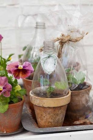 Δοχείο για τα λουλούδια από πλαστικά μπουκάλια